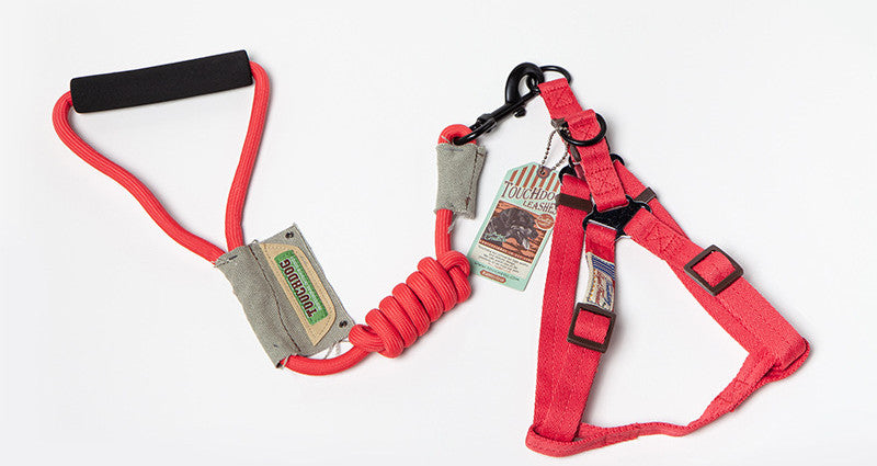 Eco-Paws Tactical No-Pull Dog Leash & Harness Set — Anti-Pull, Shock-Absorbing, All Sizes