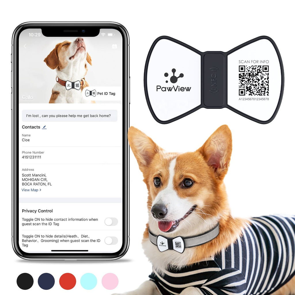 Eco-Paws NFC Smart Pet ID Tag — QR Code Tracking & Instant Contact Info