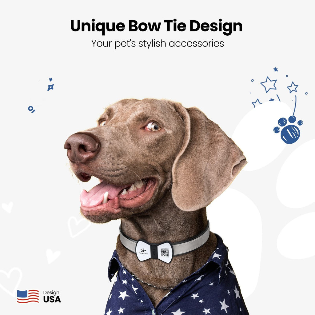 Eco-Paws NFC Smart Pet ID Tag — QR Code Tracking & Instant Contact Info