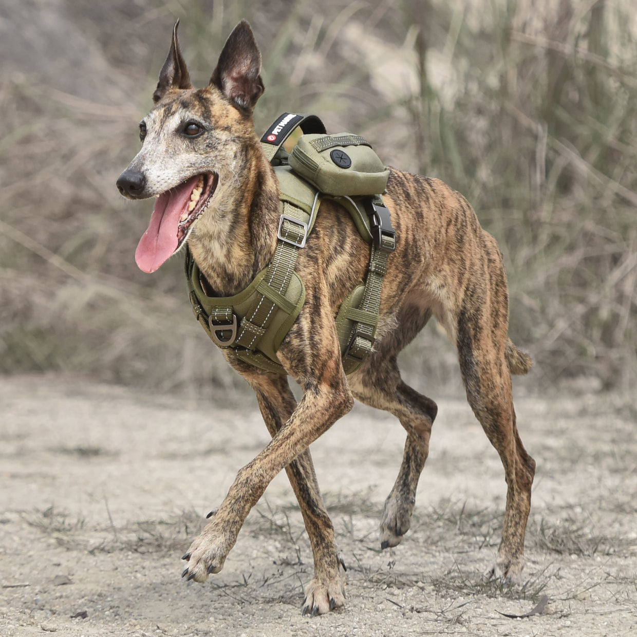 Eco-Paws Tactical Dog Harness With Mini Backpack — No-Pull, Heavy-Duty, Adjustable